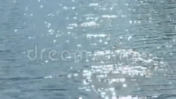 河波光粼粼视频的预览图