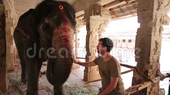 男游客抚摸大象视频的预览图