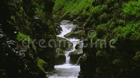 溪水在被绿色植物覆盖的群山之间流动夏日景观自然石头视频的预览图