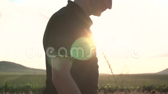 农业人测试成熟小麦耳朵视频的预览图