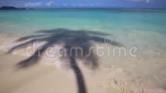 兰开海滩上的棕榈影视频的预览图