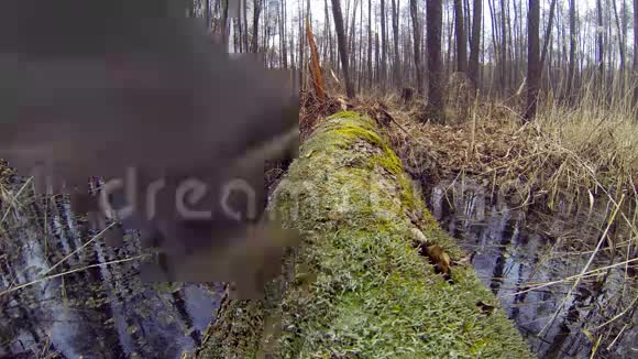 徒步旅行者穿过原木上的小溪视频的预览图