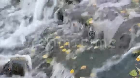 秋天公园的小瀑布视频的预览图
