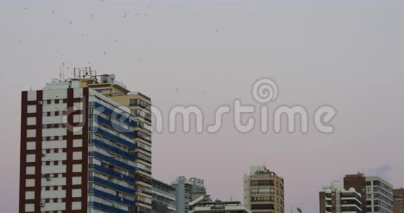 日落天空鸟在酒店前4k西班牙视频的预览图