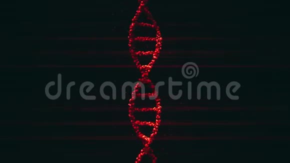 带粒子的红色DNA分子球模型无缝环视频的预览图