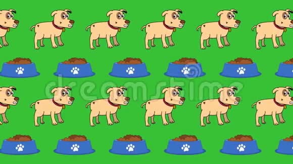 在宠物商店和宠物部一只狗和一个绿色背景的食物碗动画视频的预览图
