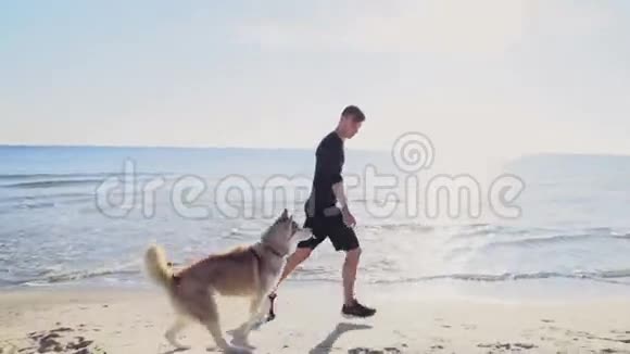 男跑运动员和他的哈士奇狗在海滩上慢跑视频的预览图