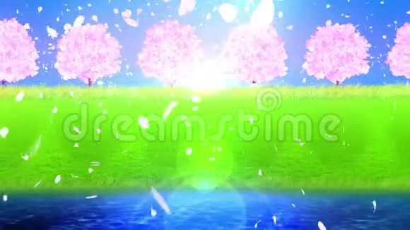湖边樱花盛开日本传统的三仓风景优美典雅风格循环动画视频的预览图