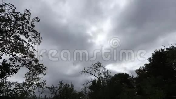 背景中有移动云的树木视频的预览图