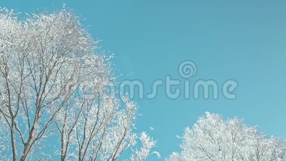 冬天的细节冰冻的冬季景观视频的预览图