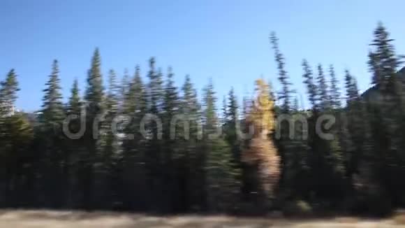 加拿大落基山脉的秋天视频的预览图