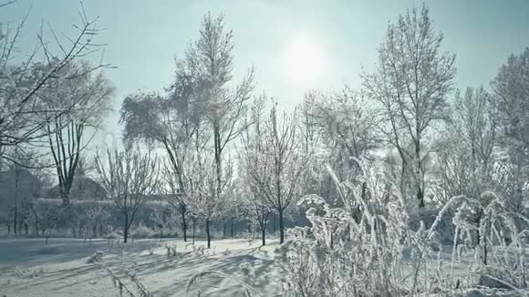 冬天的细节冰冻的冬季景观视频的预览图
