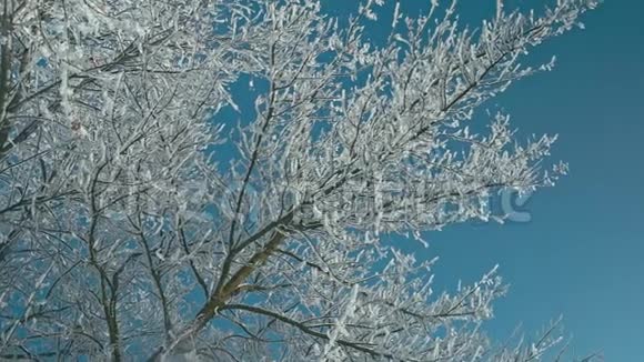 冬天的细节冰冻的冬季景观视频的预览图