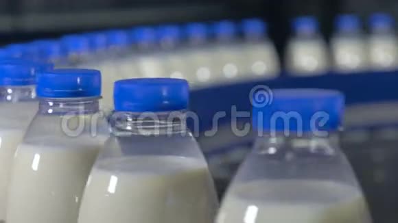 新鲜乳制品瓶子在传送带上移动奶制品工厂视频的预览图
