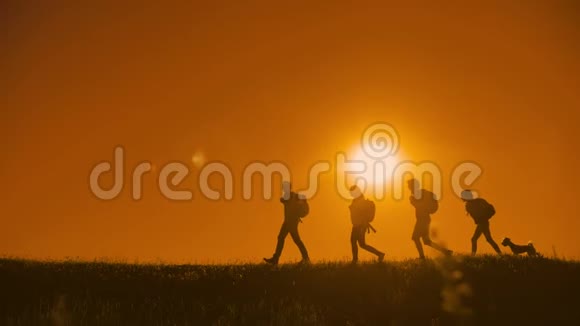 人们徒步旅行者的日光剪影和游客的狗四人在日落剪影之上行走视频的预览图