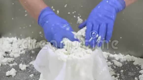 奶酪生产行业奶工把奶酪生面团准备成模具视频的预览图