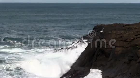 海浪拍打岩岸和海鸥飞翔视频的预览图