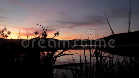 日落时分南非的自然风光视频的预览图