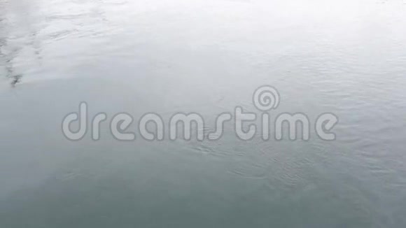 日本海康湖快速游艇船尾泡沫道具清洗视频的预览图