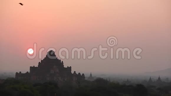 日落时分巴根建筑群的许多寺庙视频的预览图