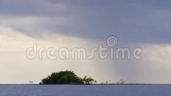 夏日佛罗里达湖风暴雨天日落4k美国视频的预览图