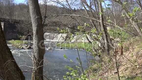 美丽的自然景观在早春公园里荡漾着瀑布视频的预览图