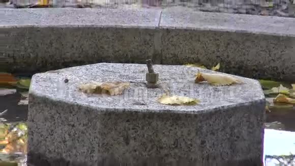 秋天植物园的喷泉视频的预览图