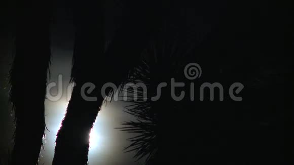 在约书亚树后升起的满月视频的预览图