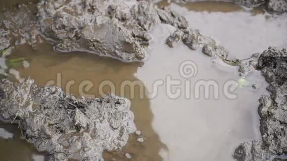 一个穿着橡胶靴的人走在泥上视频的预览图