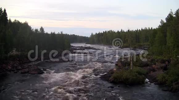 粗糙的河流流过森林视频的预览图