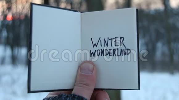 冬季仙境的想法书和文字视频的预览图