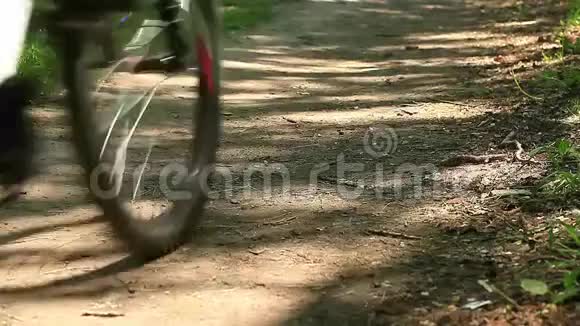 骑自行车的人骑着森林视频的预览图