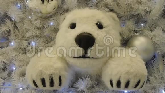 在圣诞节放北极熊视频的预览图