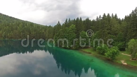 空中意大利贝洛佩斯卡美丽的绿色森林湖视频的预览图