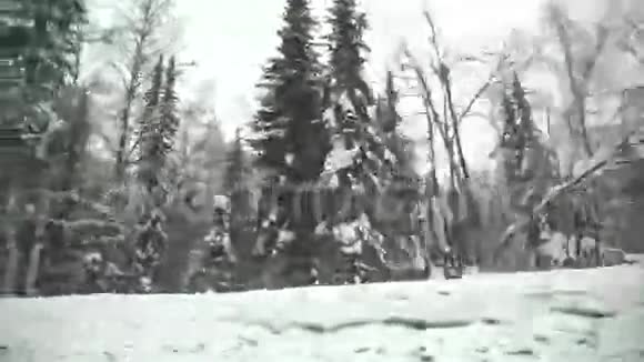 冬天白天大雪覆盖的公路冬天的树林视频的预览图