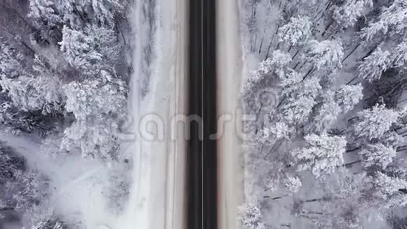 冬天的路上柏油上有冰冬天的霜冻下有树视频的预览图