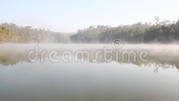 早晨的湖雾和春天的日出视频的预览图