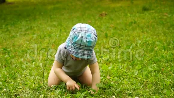 婴儿男孩在绿草上玩耍视频的预览图