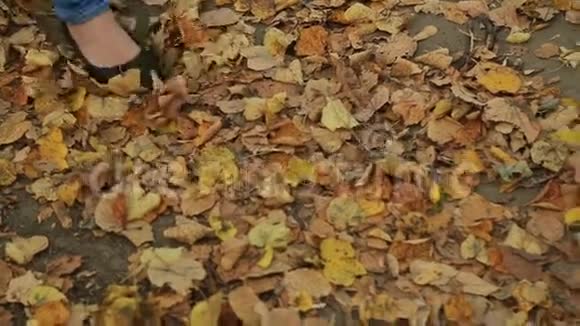 秋天走过乡村和小径的女人视频的预览图