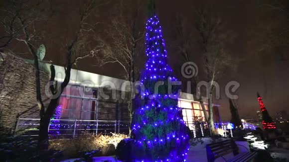 现代住宅或餐厅的外部圣诞灯在树上点亮在夜空中摄像机移动视频的预览图