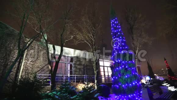 现代住宅或餐厅的外部圣诞灯在树上点亮在夜空中摄像机移动视频的预览图