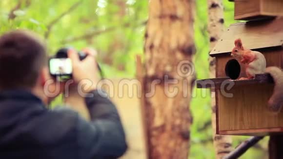 散焦人在秋天的森林里用他的相机拍了一张松鼠的照片1920x1080视频的预览图