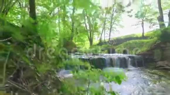 一个小瀑布被一些巨大的石头挡住了视频的预览图