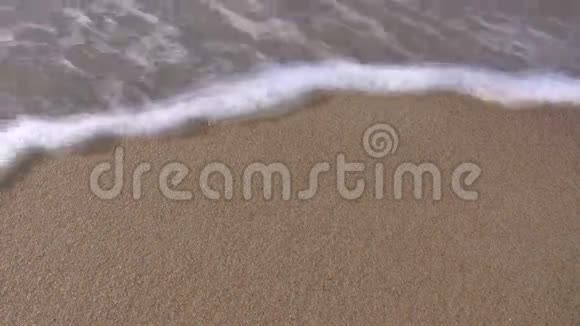 海浪冲走小贝壳视频的预览图