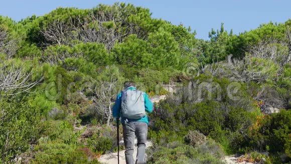 一个背包行走在森林小径上的人视频的预览图