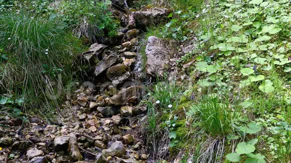 巴伐利亚阿尔卑斯山夏季的小溪视频的预览图