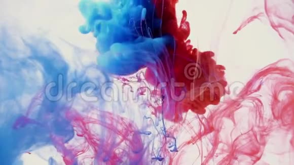 蓝色和红色墨水混合在一个纯白色的背景上奇妙的纹理放置在您的项目如卢马哑光视频的预览图
