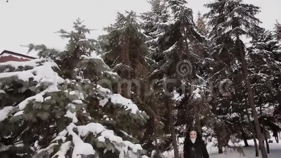 在冬天的树林里散步的漂亮女孩视频的预览图