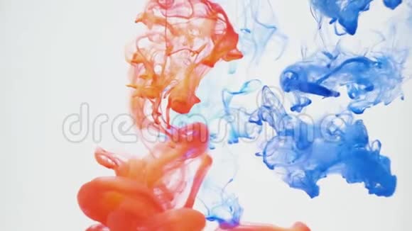 蓝色和红色墨水混合在一个纯白色的背景上奇妙的纹理放置在您的项目如卢马哑光视频的预览图