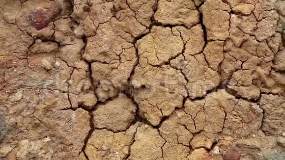 沙漠有裂缝的黄壤视频的预览图